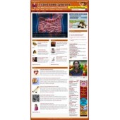 Irritable Bowel Syndrome Niche Blog Irritable Bowel Syndrome Niche Blog